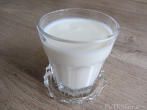 kefir, yoghurtplantje, patesserie.com