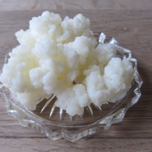 kefir korrels op een glazen schaaltje