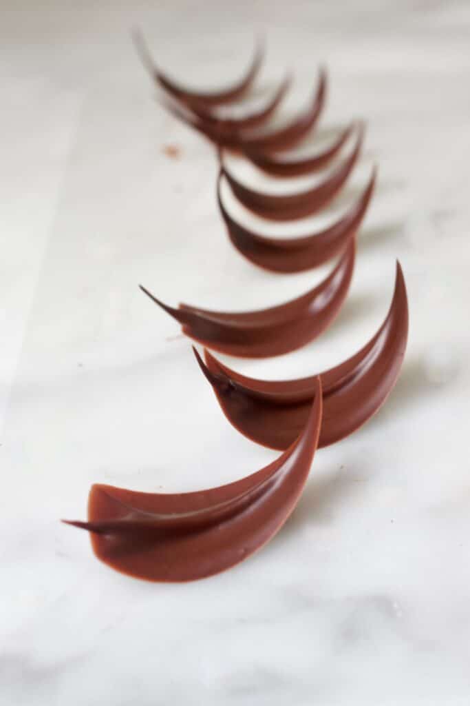 Reserveren Verzoekschrift Gedragen Chocolade blaadjes maken als taartdecoratie - PaTESSerie.com